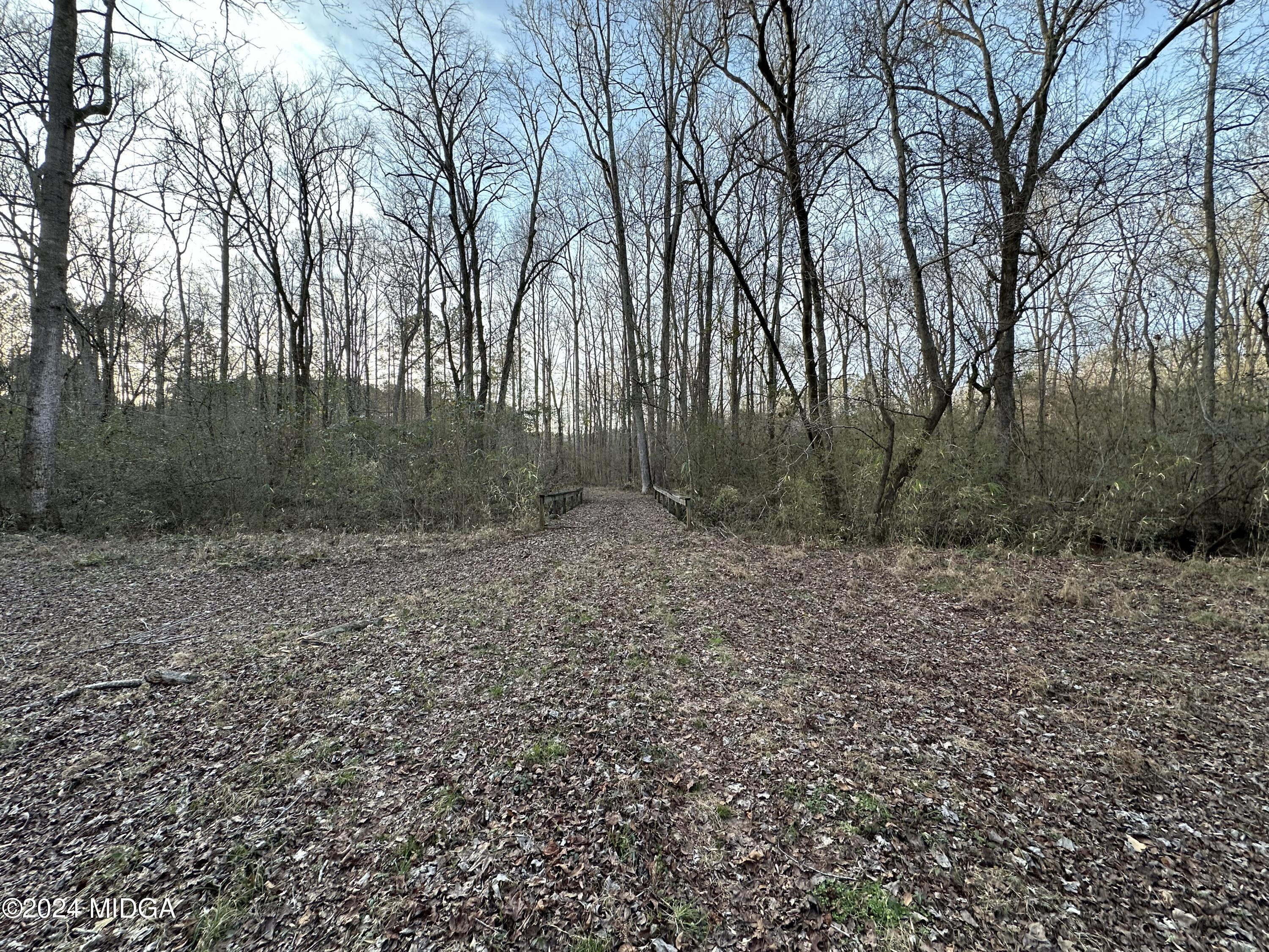 0 Blue Store Road, Unit TRACT 1 Forsyth, GA 31029 - Photo 6 of 15 a view of a outdoor space
