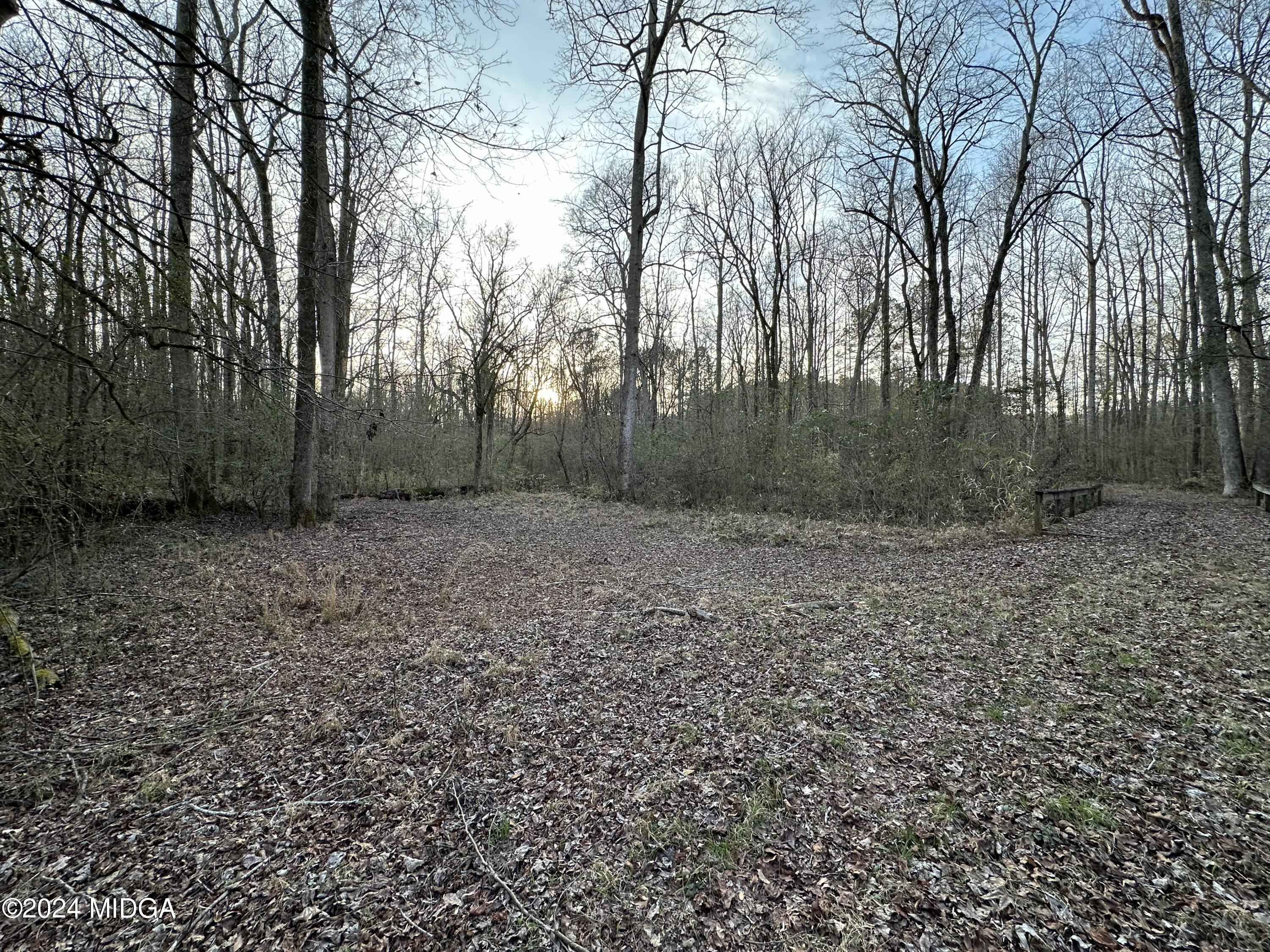 0 Blue Store Road, Unit TRACT 1 Forsyth, GA 31029 - Photo 7 of 15 a view of a backyard with trees