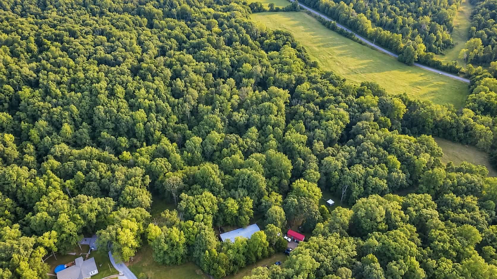 1185 Raney Hill Road Dickson, TN 37055 - Photo 15 of 18 Gallery Image 15