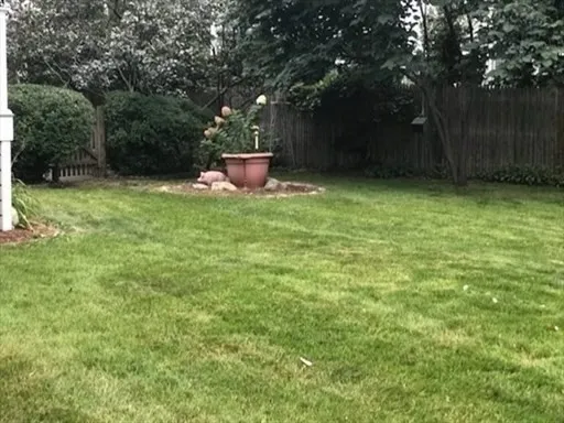 a view of a backyard with large trees and wooden fence