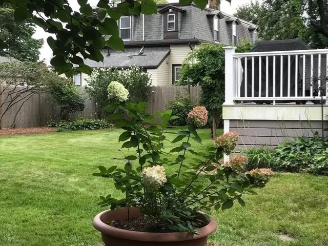 a house with lots of trees