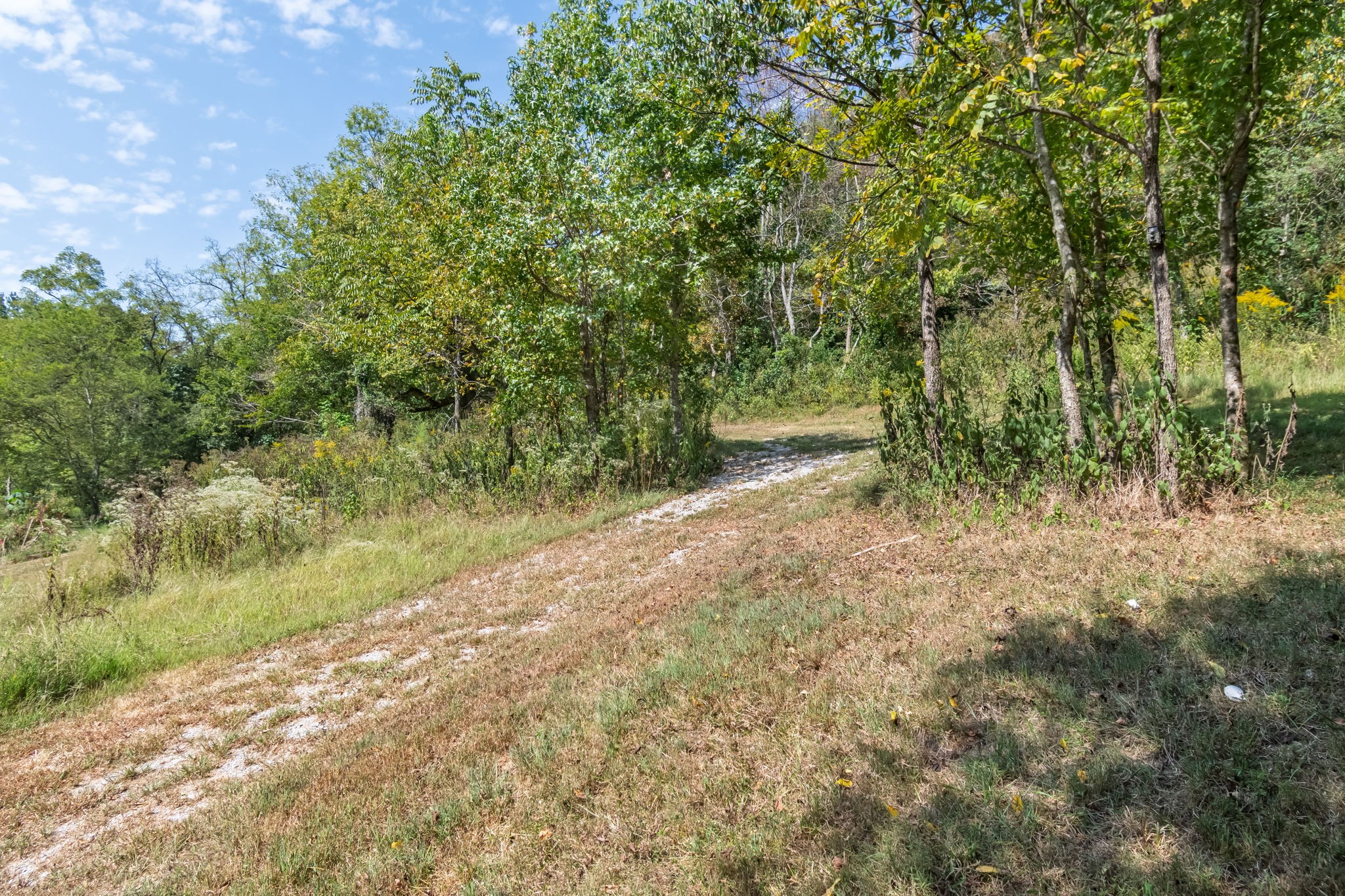 384 Big Spring Hollow Road Pulaski, TN 38478 - Photo 11 of 54 Gallery Image 11