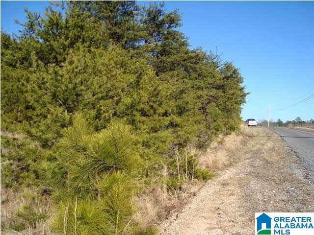 29 Highway Ac Al, Unit 33 Oneonta, AL 35121 - Photo 17 of 23