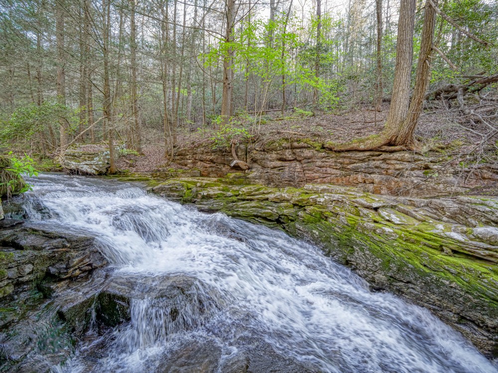 0 Beecher Eunice Smith Road Pikeville, TN 37367 - Photo 11 of 48