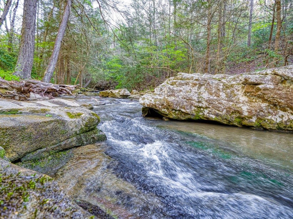 0 Beecher Eunice Smith Road Pikeville, TN 37367 - Photo 12 of 48