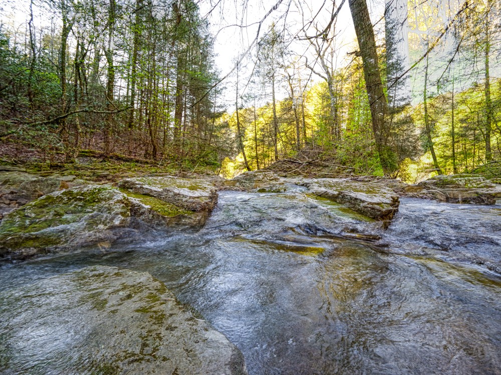 0 Beecher Eunice Smith Road Pikeville, TN 37367 - Photo 13 of 48