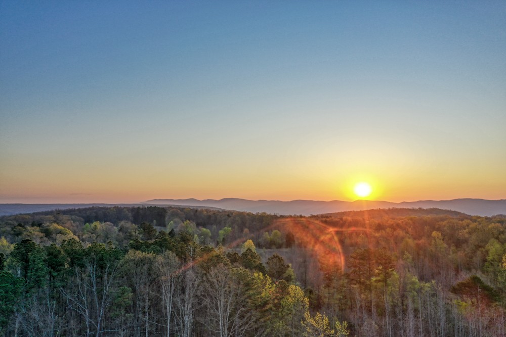 0 Beecher Eunice Smith Road Pikeville, TN 37367 - Photo 14 of 48