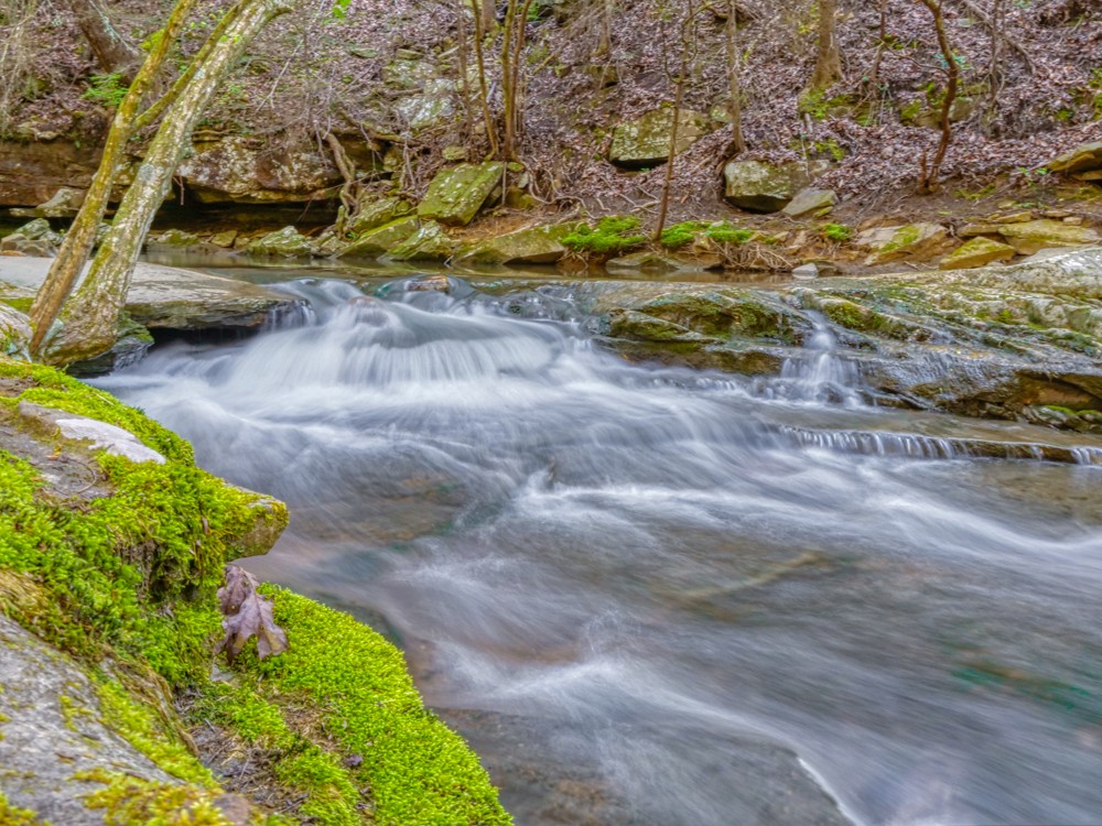 0 Beecher Eunice Smith Road Pikeville, TN 37367 - Photo 15 of 48