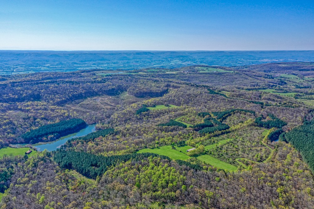 0 Beecher Eunice Smith Road Pikeville, TN 37367 - Photo 16 of 48