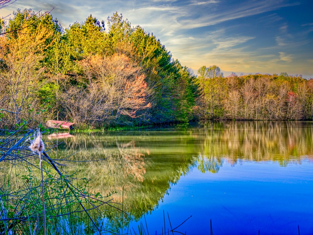 0 Beecher Eunice Smith Road Pikeville, TN 37367 - Photo 17 of 48