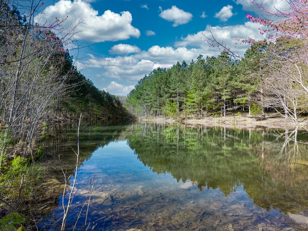 0 Beecher Eunice Smith Road Pikeville, TN 37367 - Photo 19 of 48