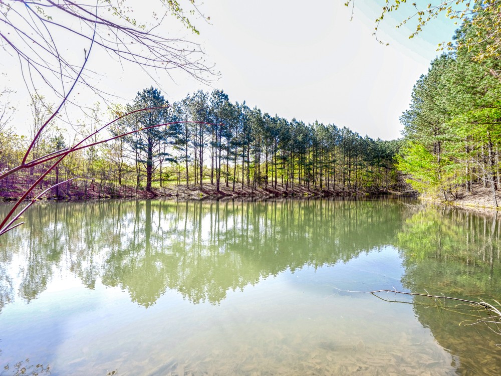 0 Beecher Eunice Smith Road Pikeville, TN 37367 - Photo 21 of 48