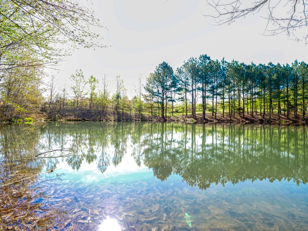 0 Beecher Eunice Smith Road Pikeville, TN 37367 - Photo 22 of 48