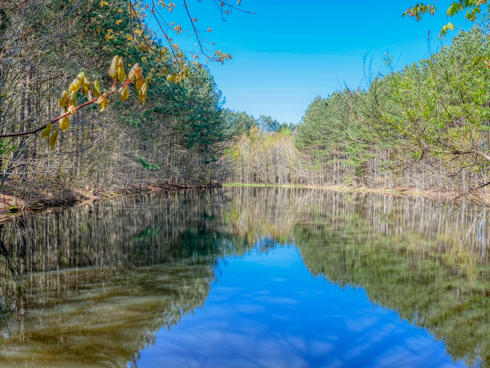 0 Beecher Eunice Smith Road Pikeville, TN 37367 - Photo 24 of 48