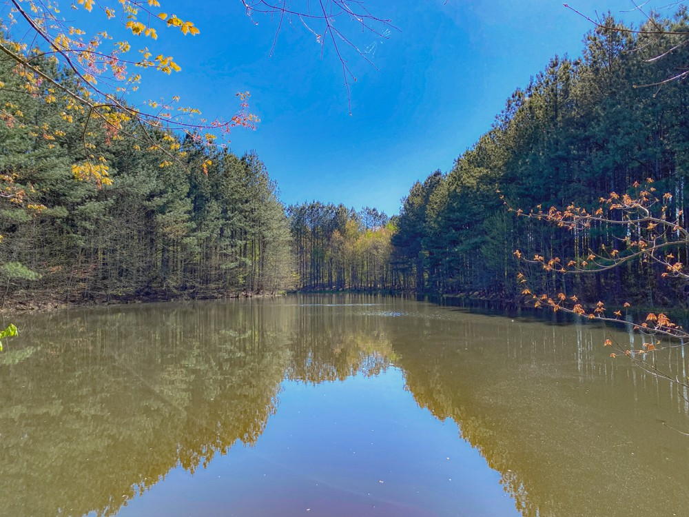 0 Beecher Eunice Smith Road Pikeville, TN 37367 - Photo 25 of 48