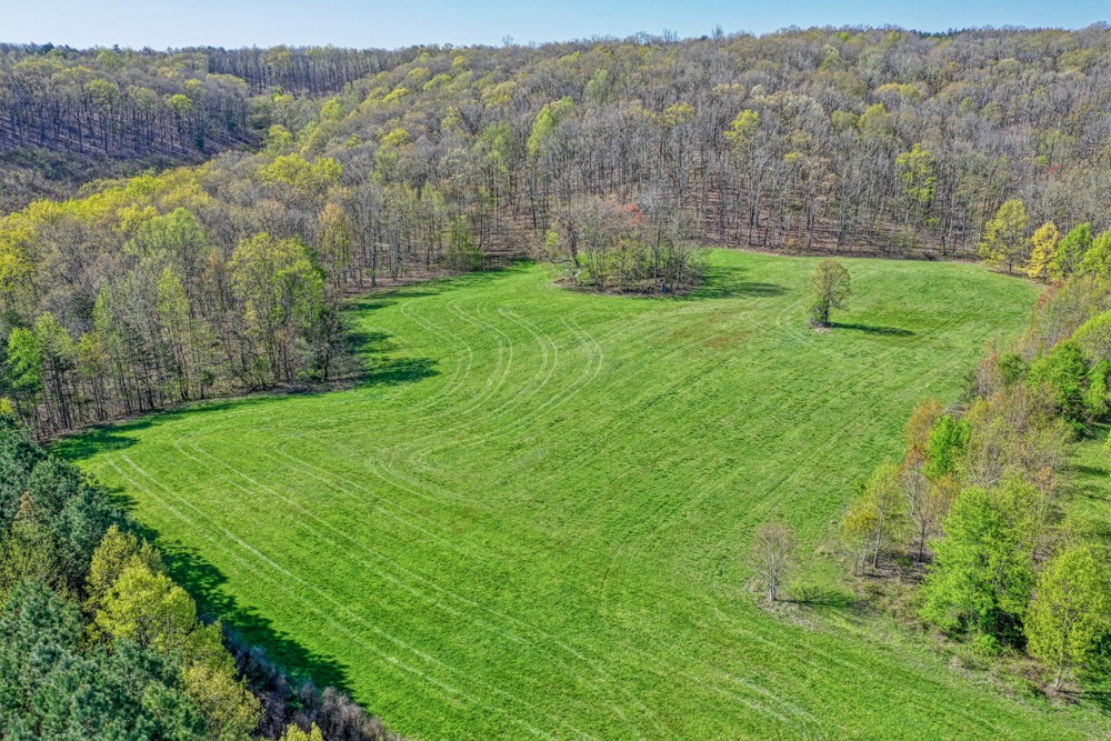 0 Beecher Eunice Smith Road Pikeville, TN 37367 - Photo 26 of 48