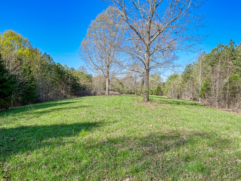 0 Beecher Eunice Smith Road Pikeville, TN 37367 - Photo 27 of 48