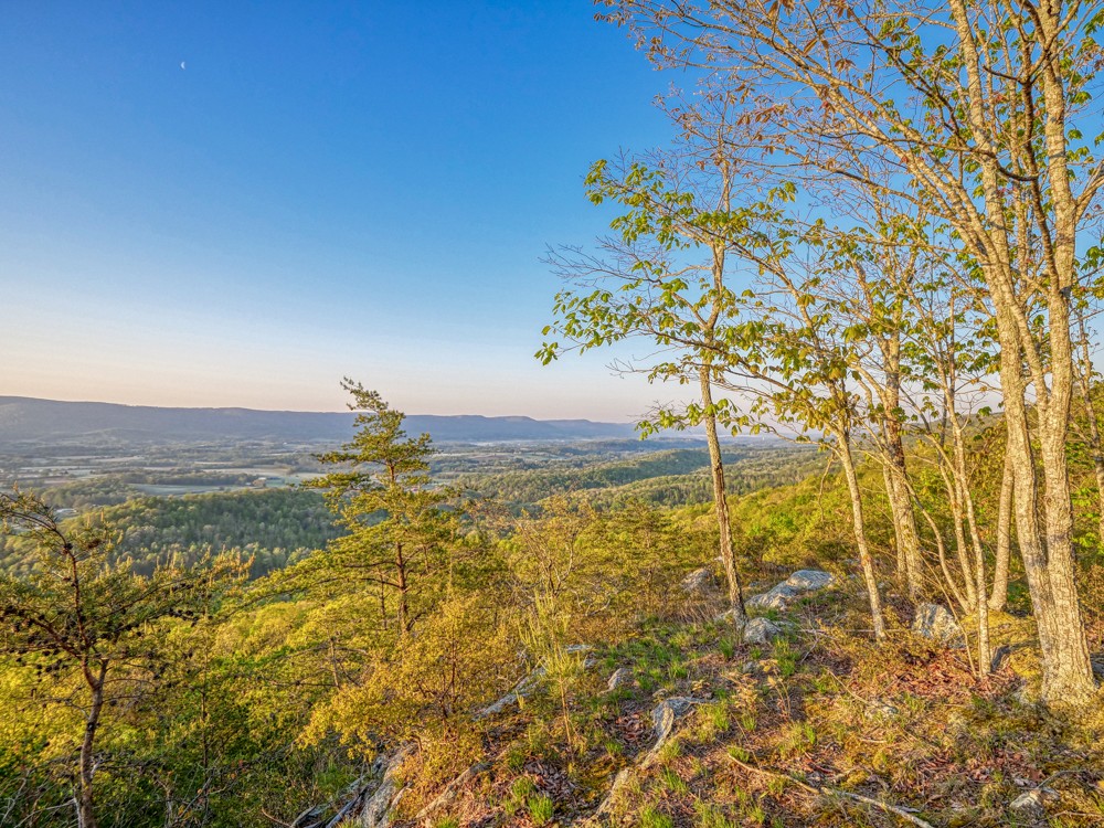 0 Beecher Eunice Smith Road Pikeville, TN 37367 - Photo 4 of 48