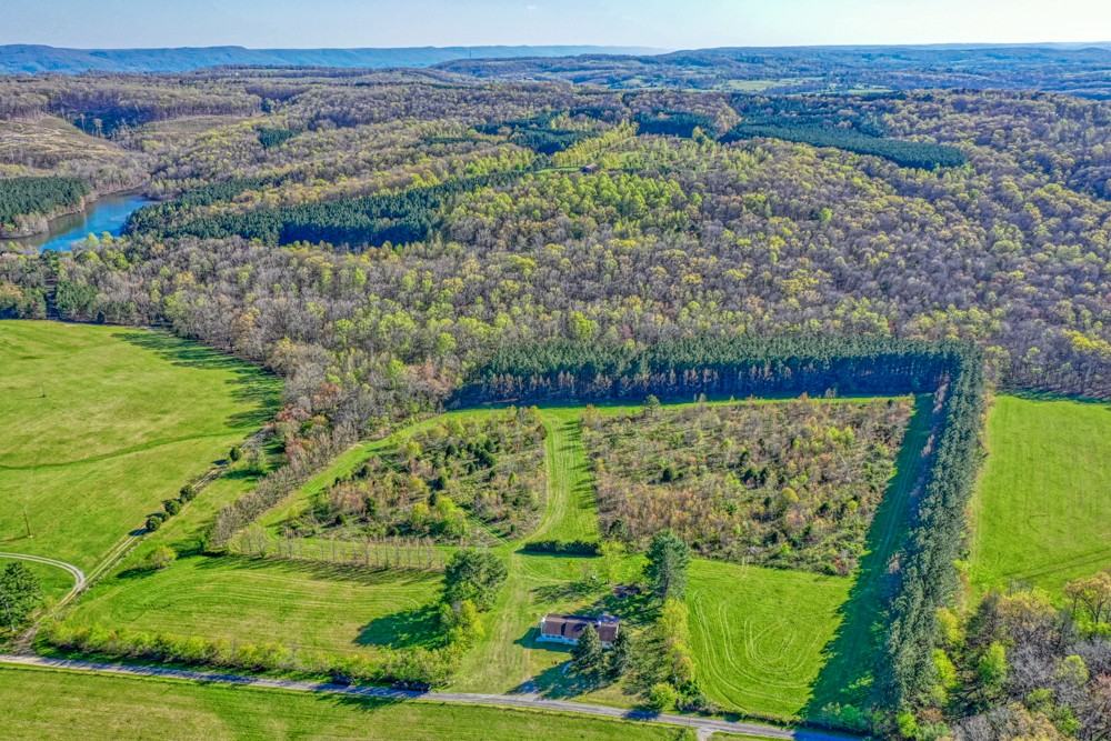 0 Beecher Eunice Smith Road Pikeville, TN 37367 - Photo 34 of 48