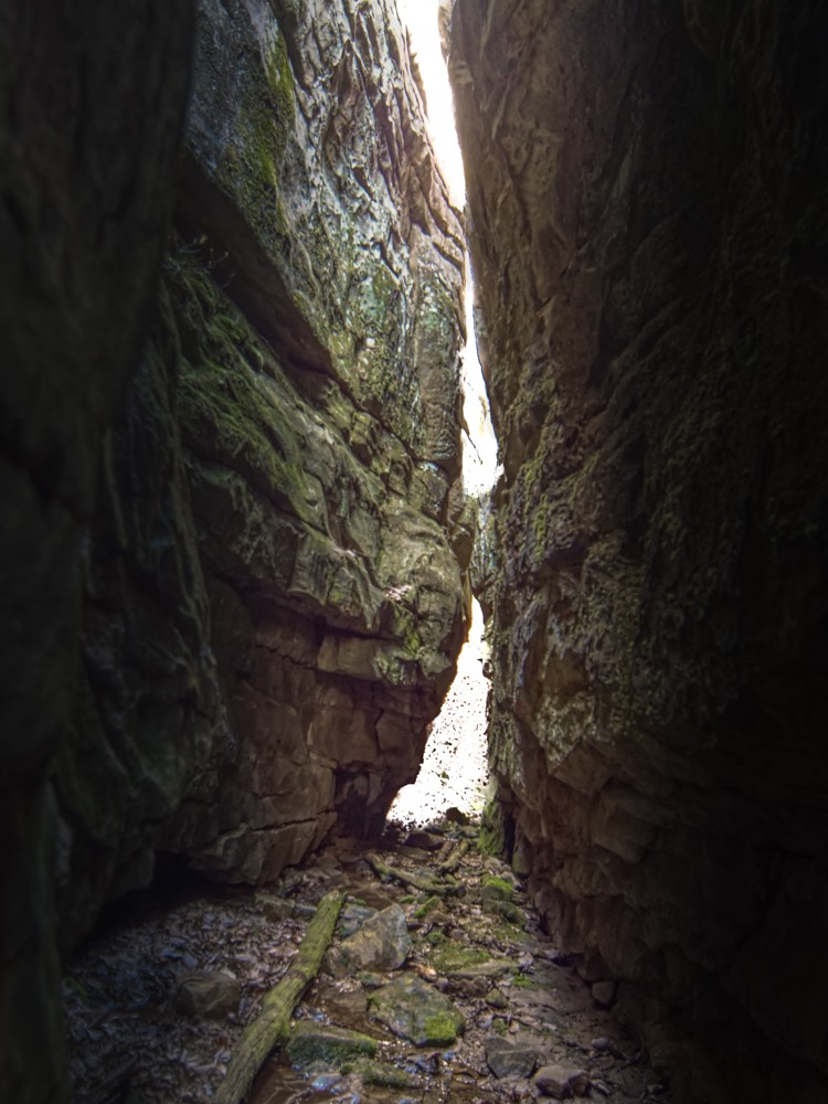 0 Beecher Eunice Smith Road Pikeville, TN 37367 - Photo 35 of 48