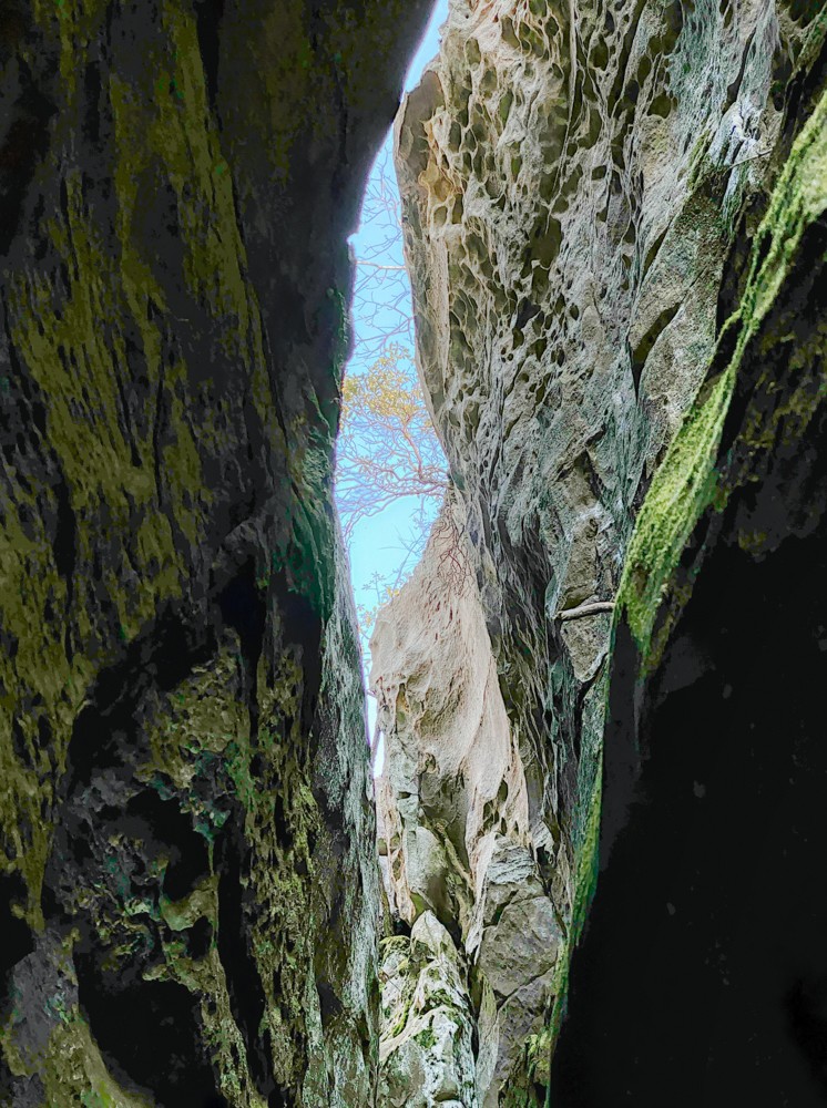 0 Beecher Eunice Smith Road Pikeville, TN 37367 - Photo 38 of 48