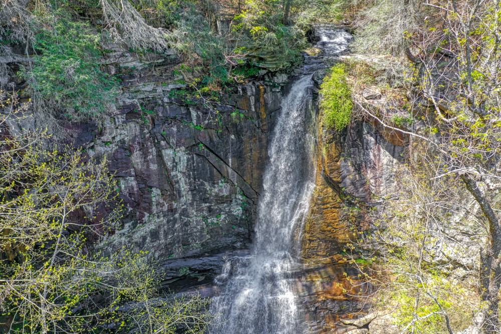 0 Beecher Eunice Smith Road Pikeville, TN 37367 - Photo 5 of 48