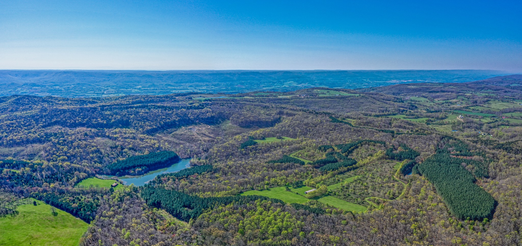 0 Beecher Eunice Smith Road Pikeville, TN 37367 - Photo 47 of 48