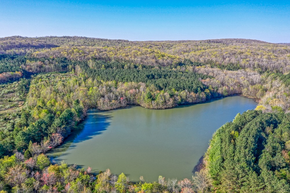 0 Beecher Eunice Smith Road Pikeville, TN 37367 - Photo 6 of 48