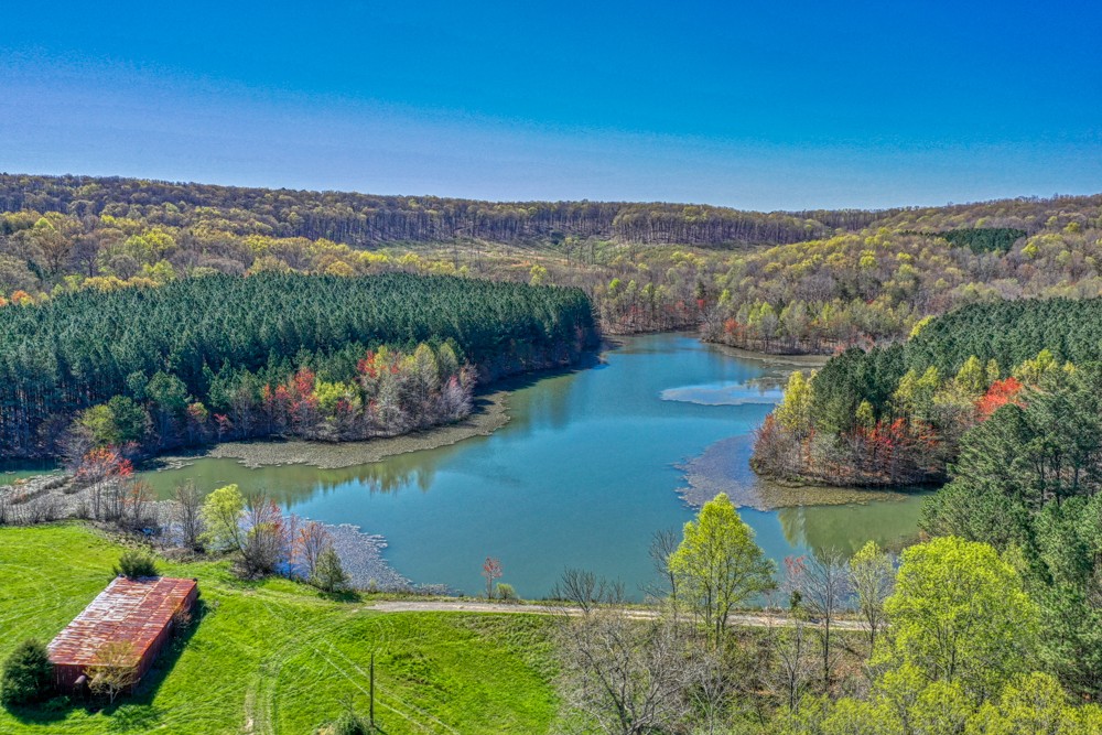 0 Beecher Eunice Smith Road Pikeville, TN 37367 - Photo 7 of 48