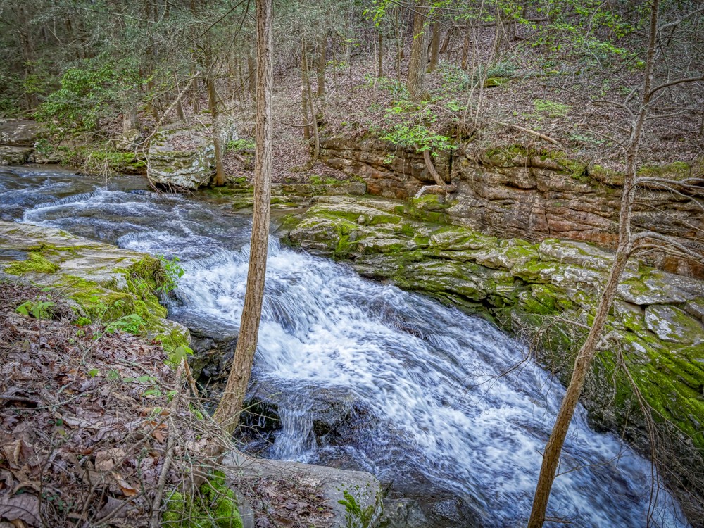 0 Beecher Eunice Smith Road Pikeville, TN 37367 - Photo 8 of 48