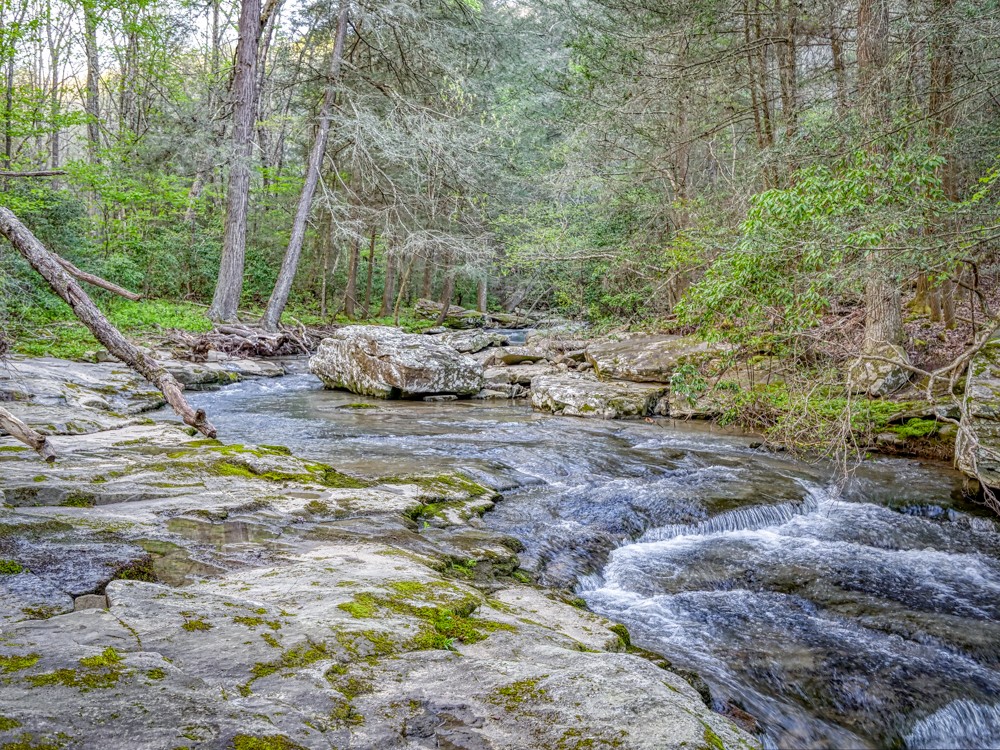 0 Beecher Eunice Smith Road Pikeville, TN 37367 - Photo 9 of 48