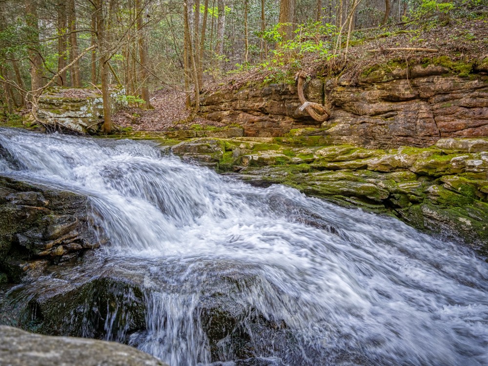 0 Beecher Eunice Smith Road Pikeville, TN 37367 - Photo 10 of 48
