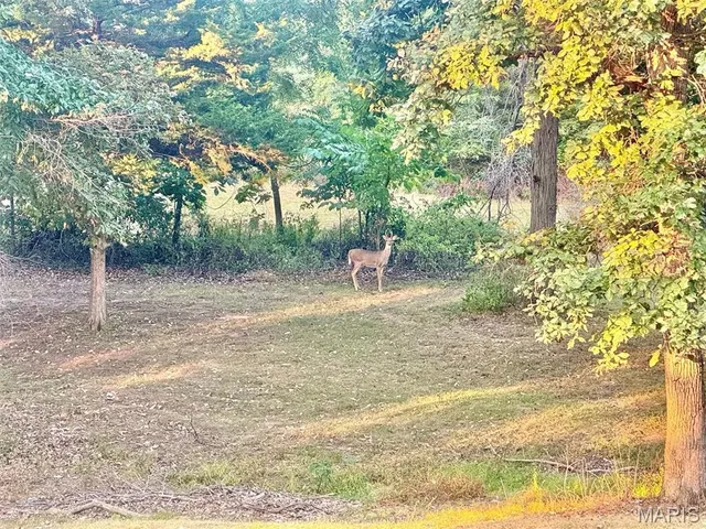 $339,000 | 38535 Monroe Road 582, Monroe City, MO 63456