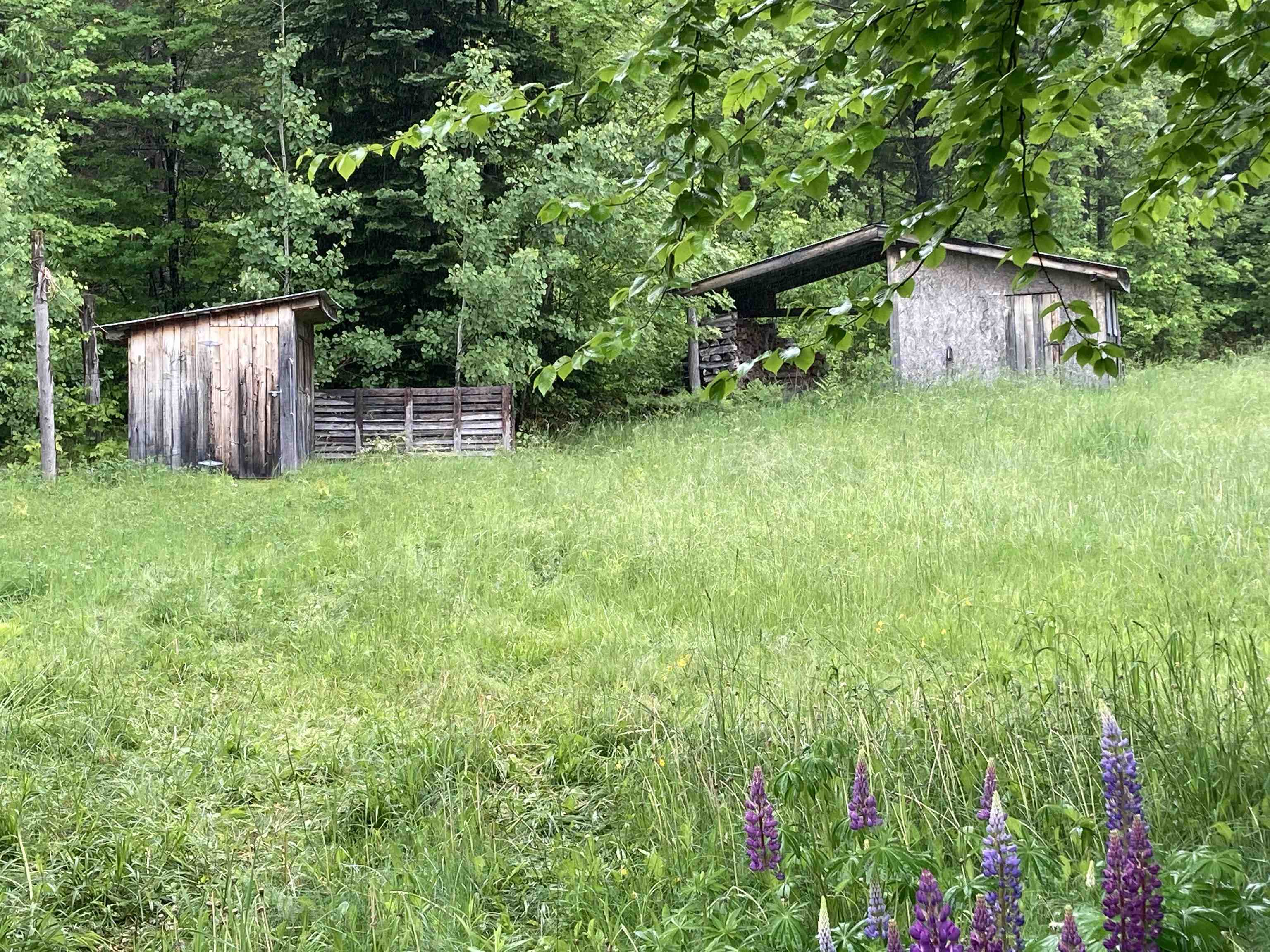 1066 Berry Hill Road Sheffield, VT 05866 - Photo 4 of 16 Gallery Image 4