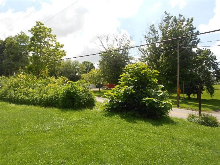 4439 Oliver Road Independence, KY 41051 - Photo 6 of 15 Gallery Image 6