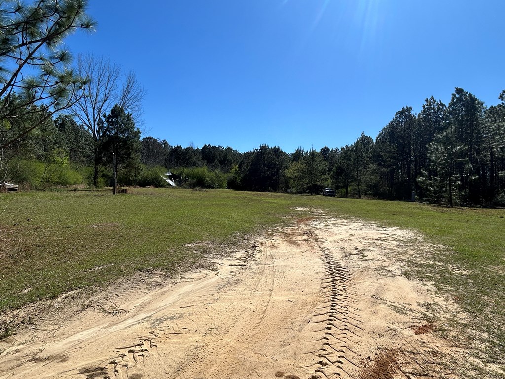 923 Lakeview Road Slocomb, AL 36375 - Photo 15 of 45