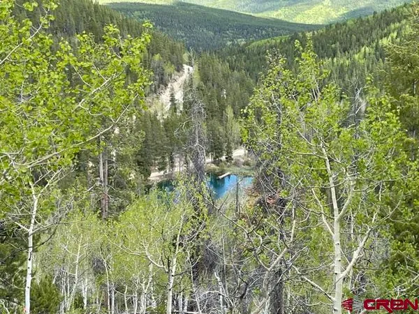 $149,000 | 1675 Chicago Park Road, Pitkin, CO 81241