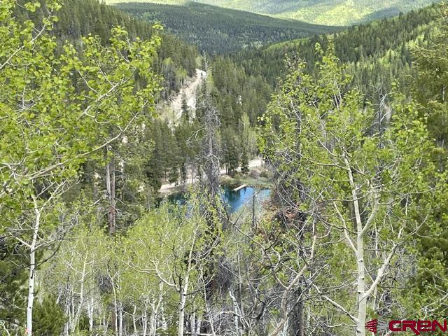 1675 Chicago Park Road Pitkin, CO 81241 - Photo 1 of 9