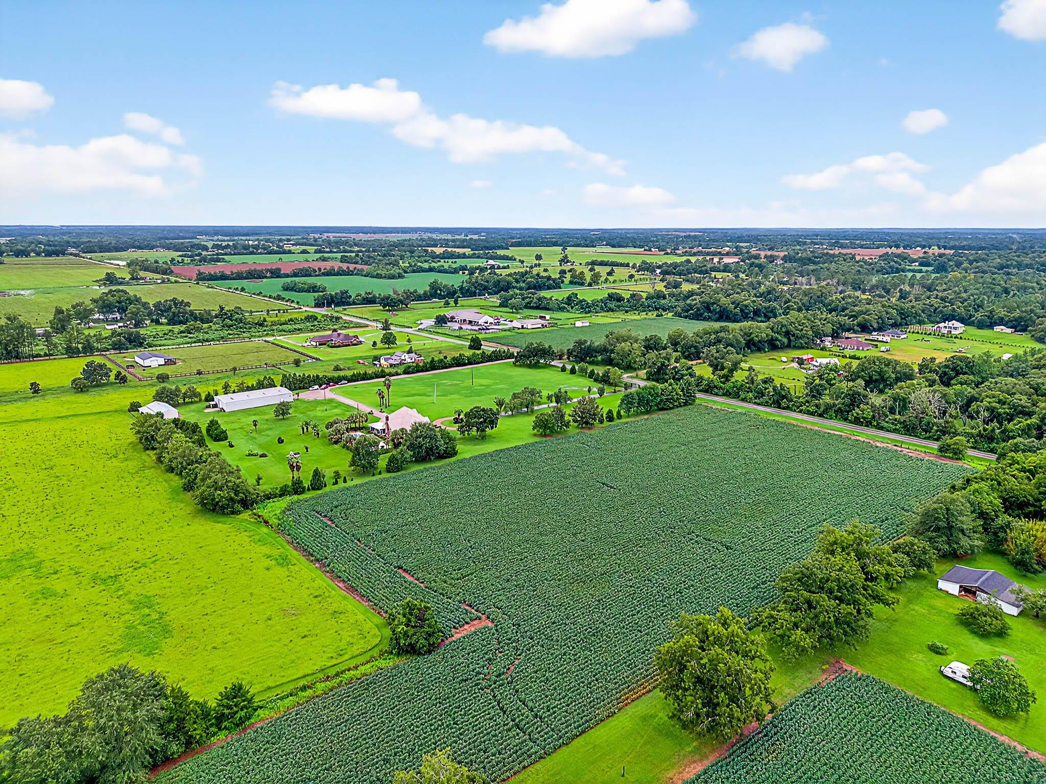 17270 Davis Road Summerdale, AL 36580 - Photo 77 of 97 Aerial View