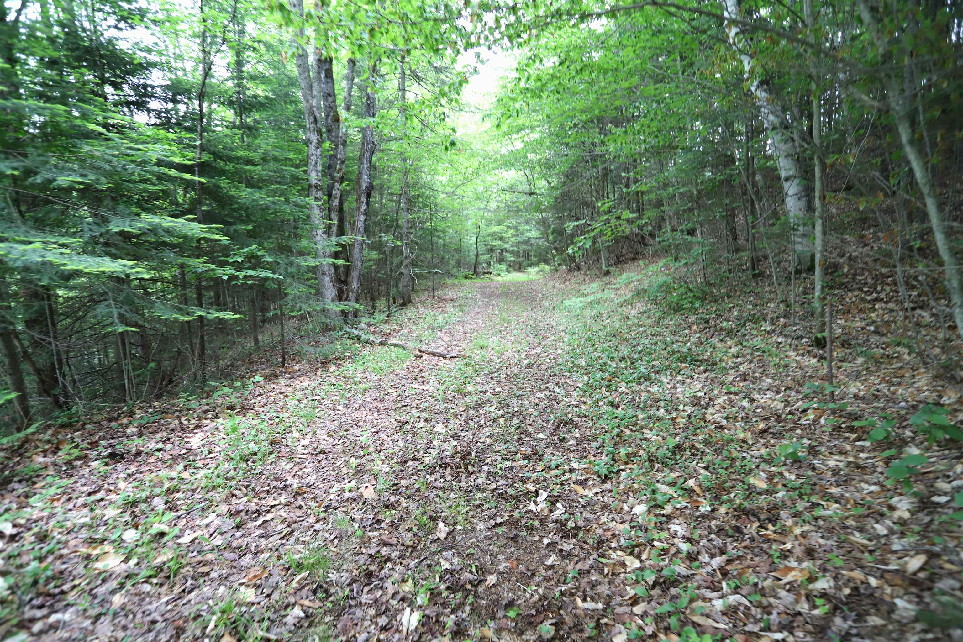 1602 East Haven Road Brighton, VT 05846 - Photo 7 of 40