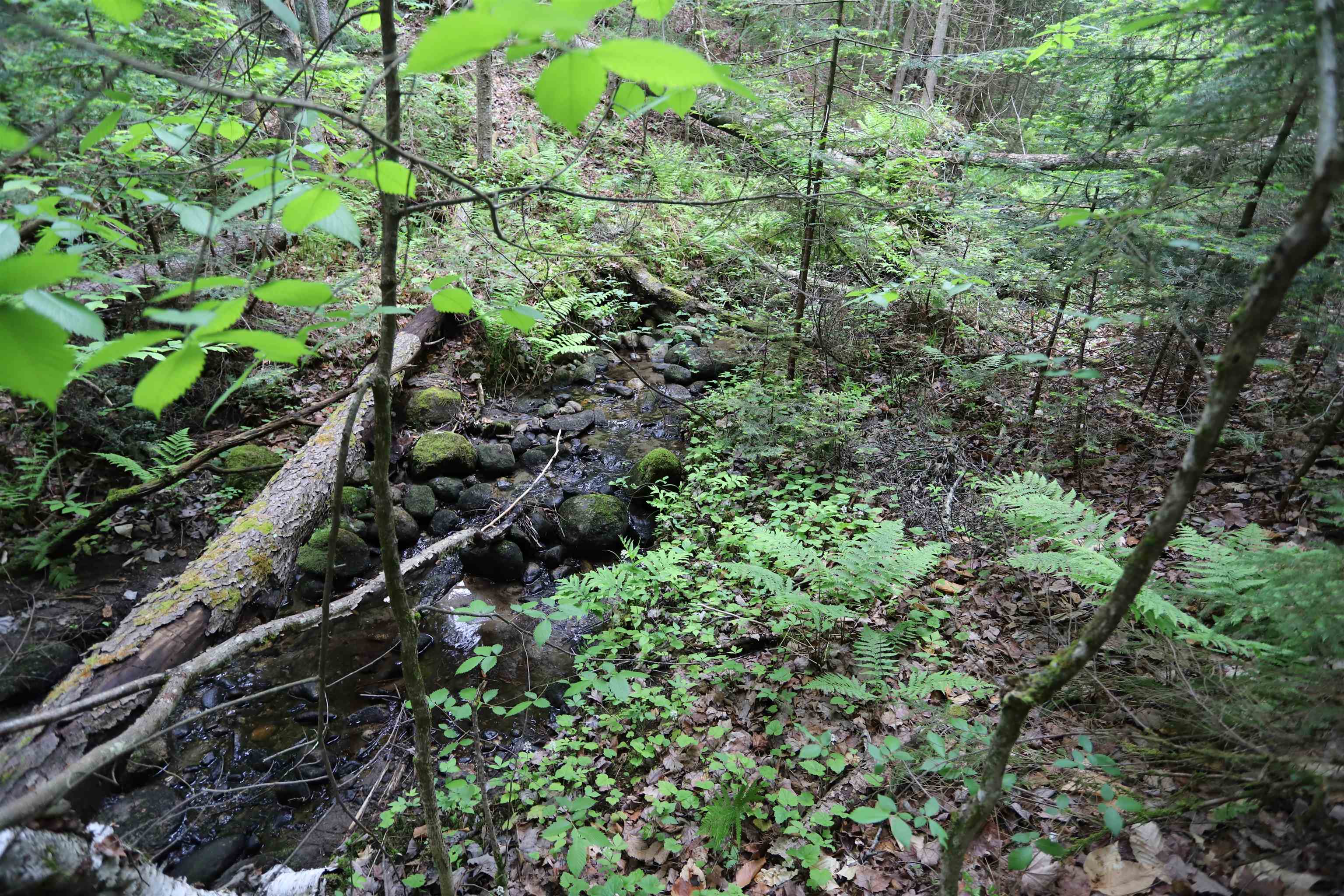 1602 East Haven Road Brighton, VT 05846 - Photo 8 of 40