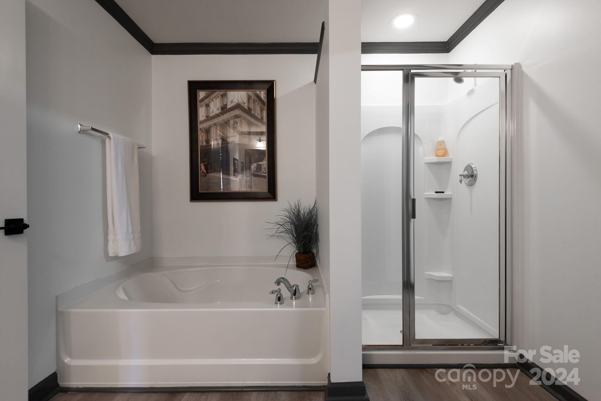 6725 Dusty Saddle Road Charlotte, NC 28277 - Photo 22 of 29 a bathroom with a bathtub and a shower