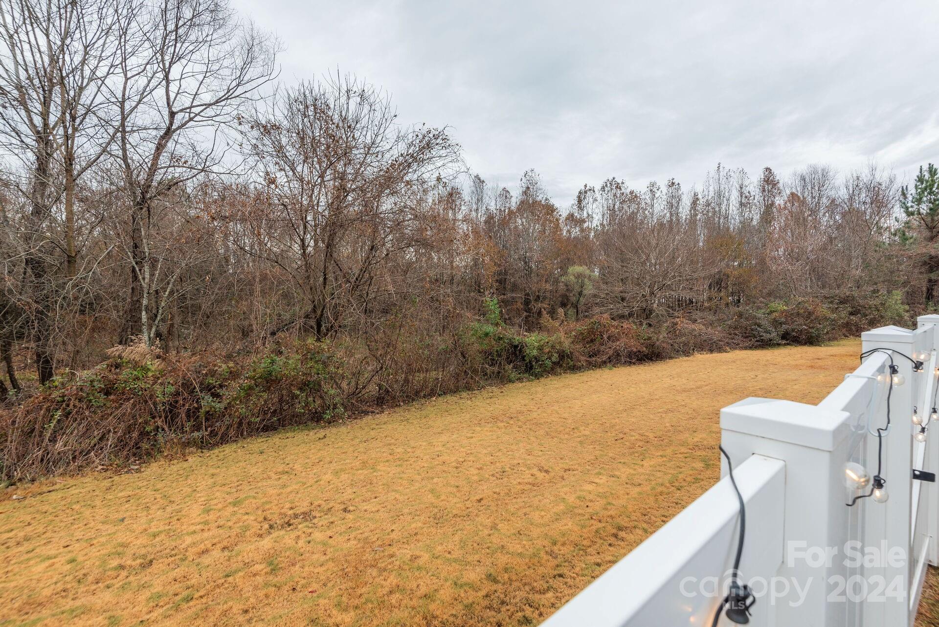 6725 Dusty Saddle Road Charlotte, NC 28277 - Photo 29 of 29 a view of a yard and mountain