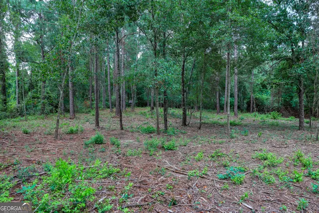 $495,000 | 0 Mccrimmon Road, Fitzgerald, GA 31750