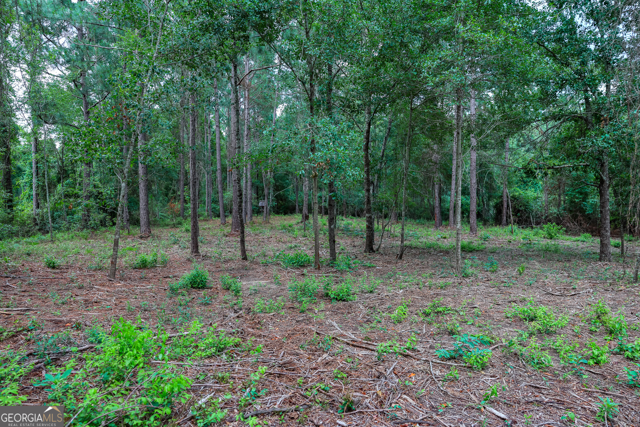 0 Mccrimmon Road Fitzgerald, GA 31750 - Photo 12 of 17