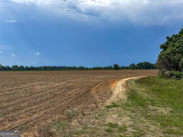 $495,000 | 0 Mccrimmon Road, Fitzgerald, GA 31750
