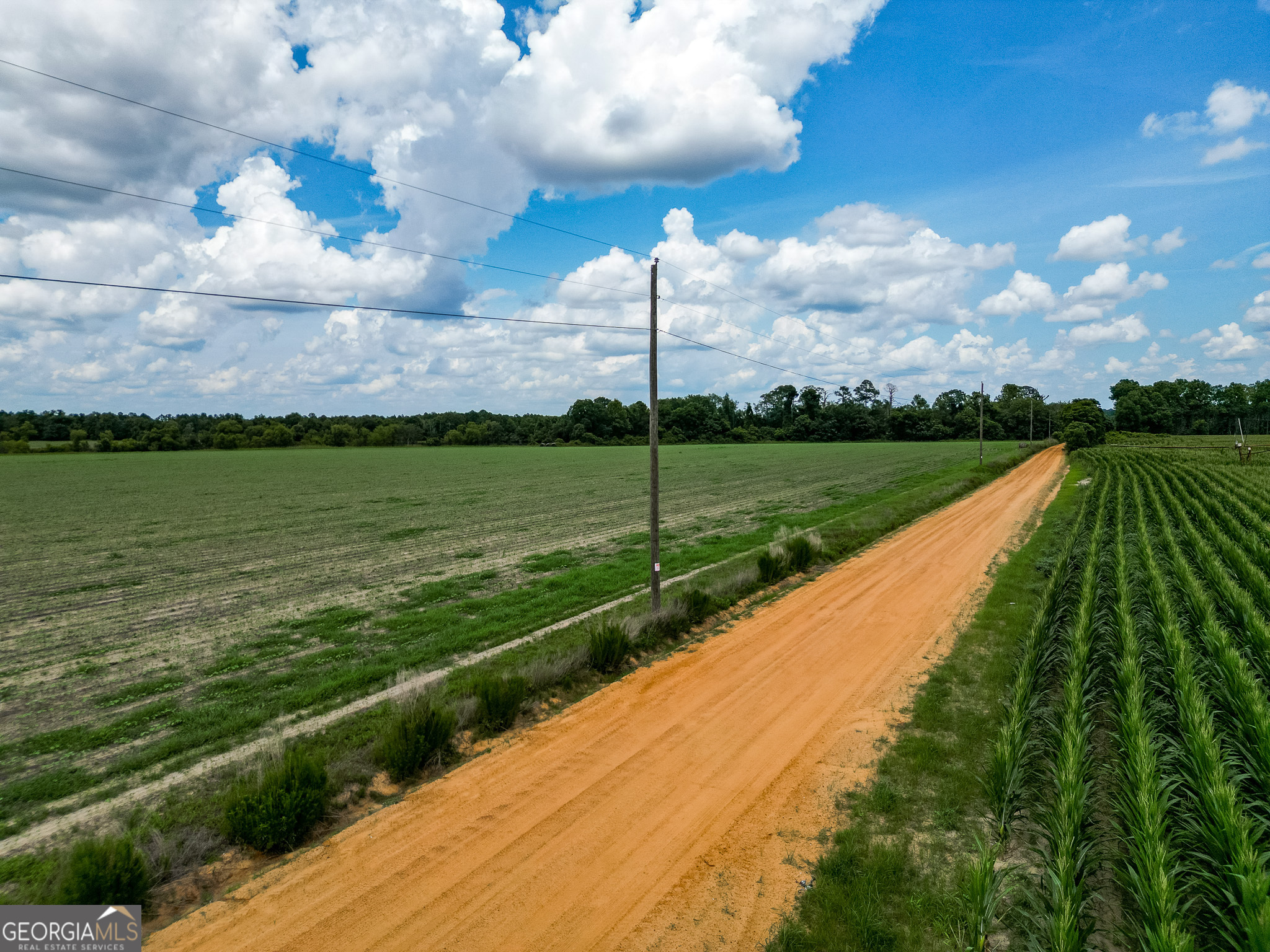 0 Mccrimmon Road Fitzgerald, GA 31750 - Photo 4 of 17