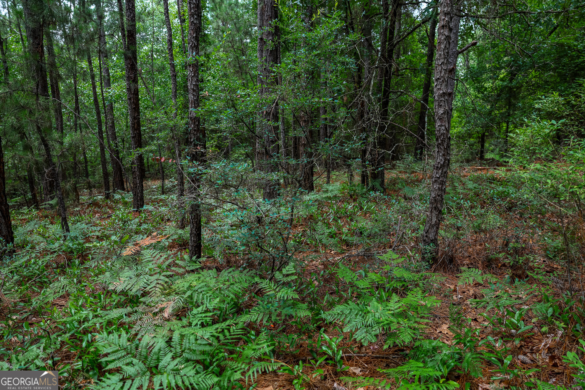 0 Mccrimmon Road Fitzgerald, GA 31750 - Photo 5 of 17