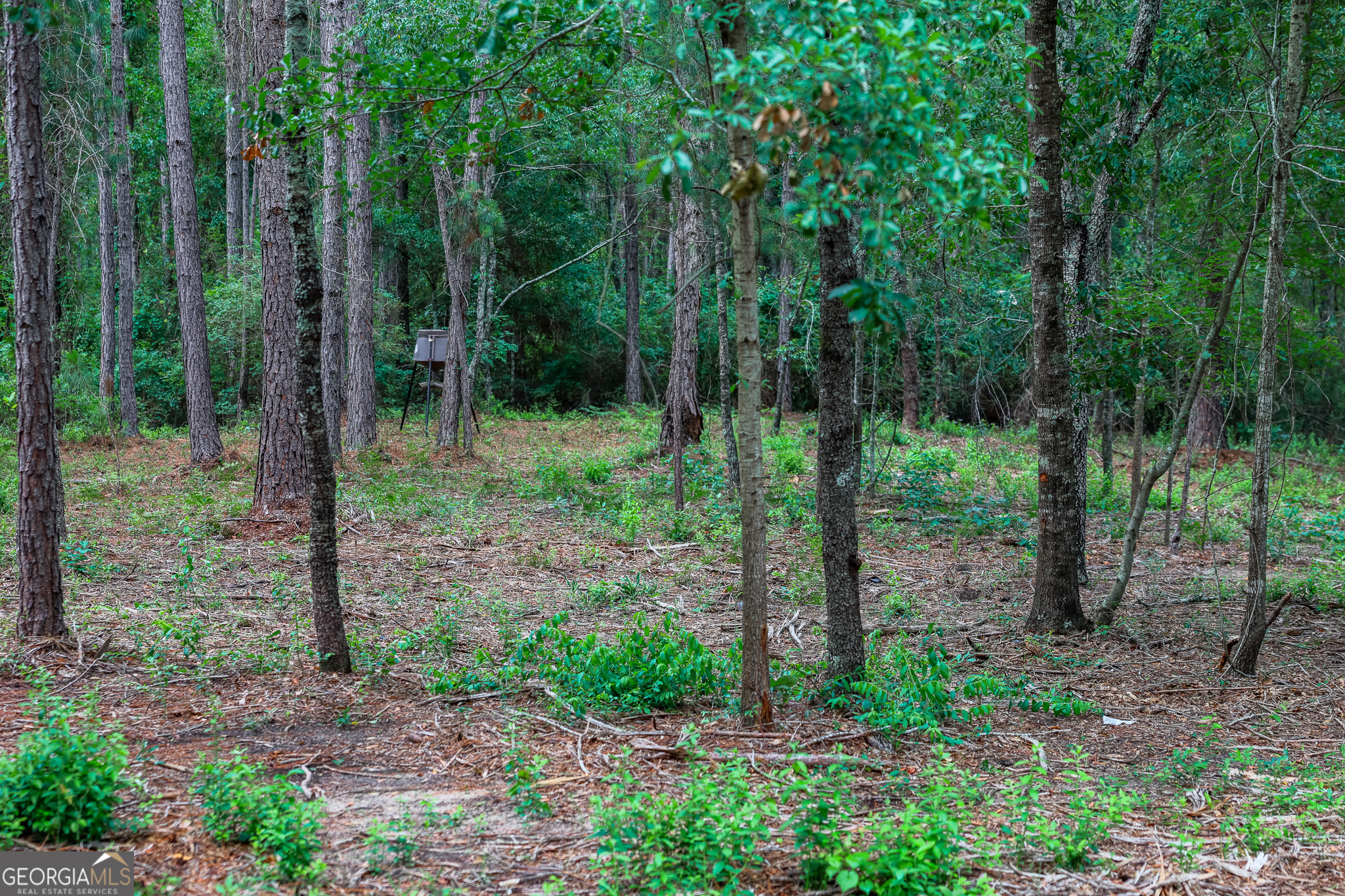 0 Mccrimmon Road Fitzgerald, GA 31750 - Photo 7 of 17