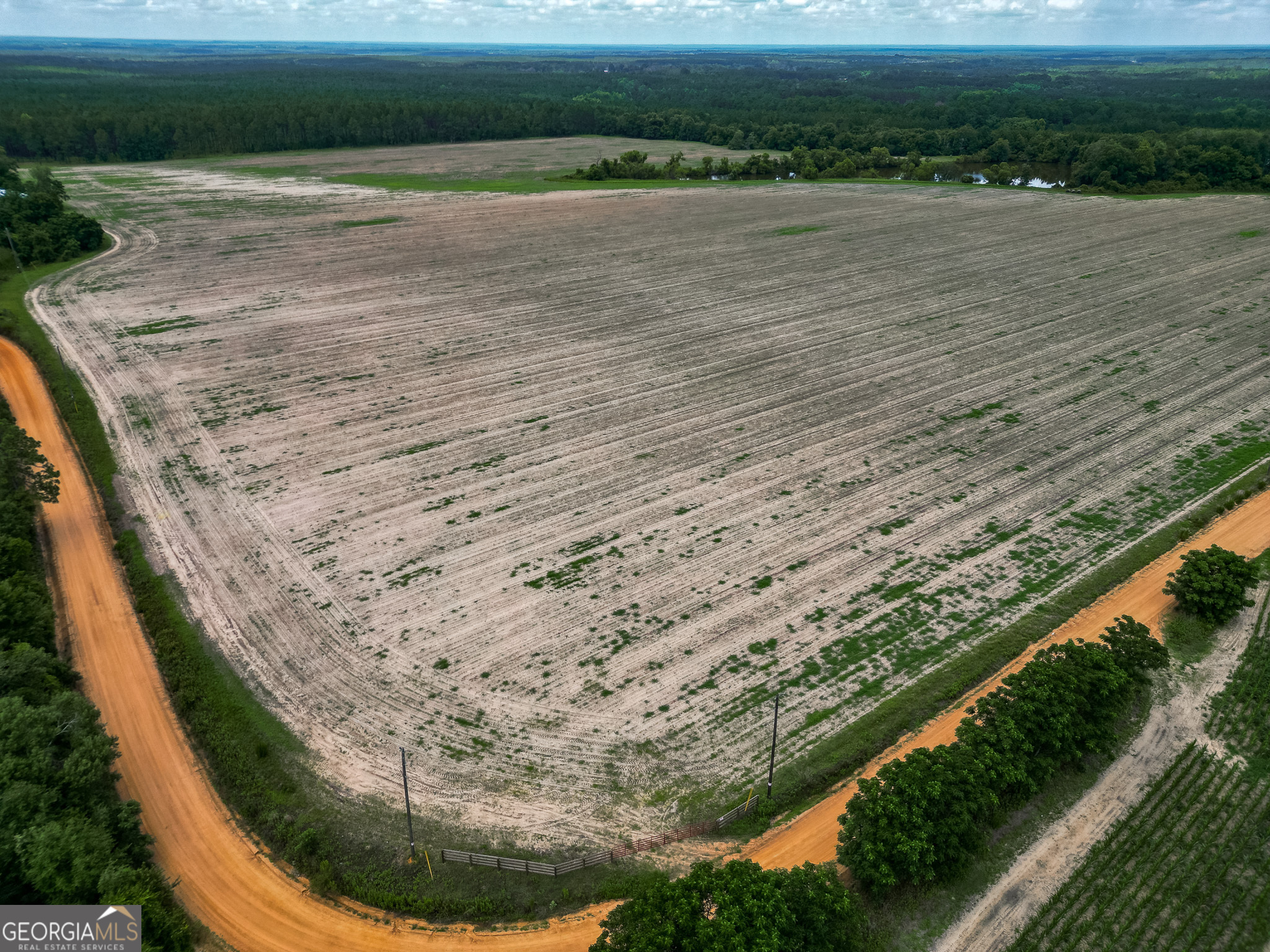 0 Mccrimmon Road Fitzgerald, GA 31750 - Photo 8 of 17